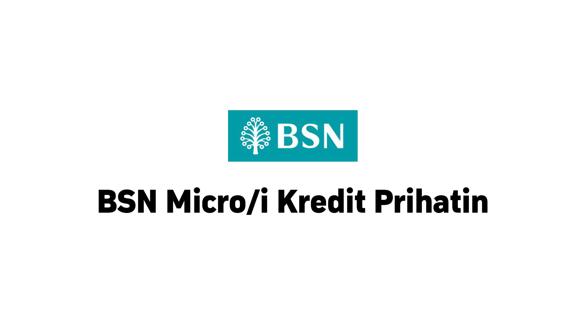 bsn micro kredit